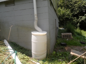 Amanda's Rain Barrel Amandas' rain barrel