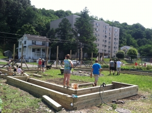 Constructing some of our new raised beds-- in the background is the arboretum