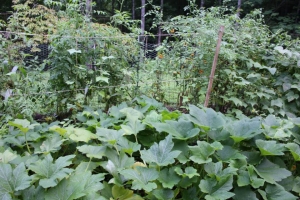 1011586_10200478085340001_1824024660_n