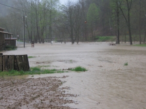 Our Flooded Garden