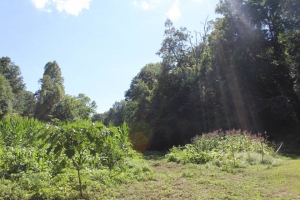 969997_10200478095980267_938233817_n