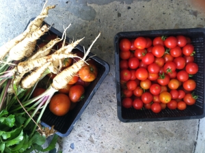 tomatoes and parsnips