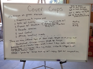 Cover Crops 5
