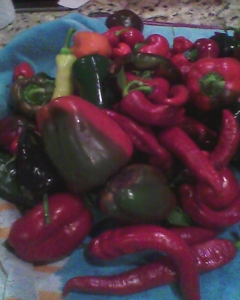Peppers