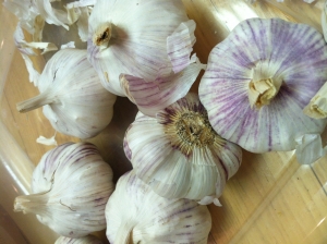 garlic is as good as ten mothers