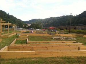 raised beds