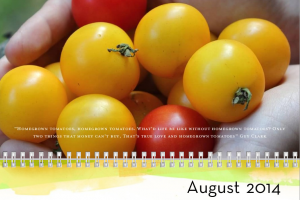 Screen shot August tomatoes