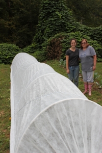 2013. Our first functioning  low tunnels. Multiple families had fresh greens for Thanksgiving meals. 