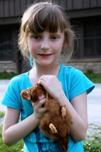 2013. This girl asked for chickens for her birthday. 