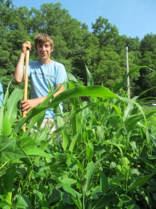 2012. Summer assistant, Andrew, hoeing corn in his family's garden. 