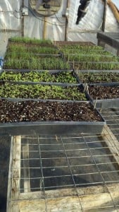 Resampled_2014-03-14_09-26-52_197 (361x640)