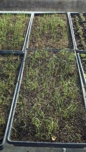 Resampled_2014-03-14_09-27-01_227 (361x640)