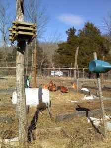 Kevin's Garden