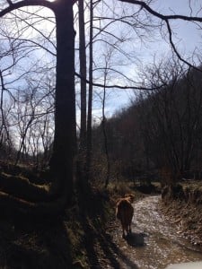 Traffic was in no hurry today on Kingdom Come Creek.