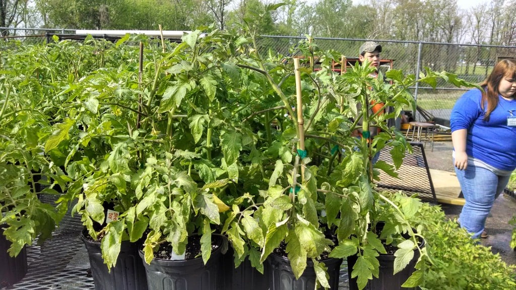 IMG_20140429_101133362_HDR