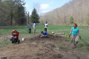 All weeds and debris were mulched and put back onto the small fruits garden.