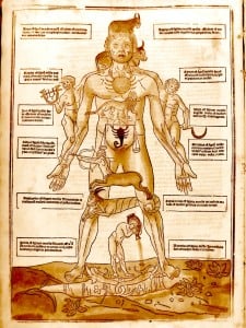 Bea says to wait until April 26th to plant, that is when the sign is in the head.