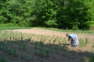 RBM GA member garden checking for bugs
