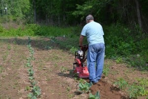 RBM GA member tilling garden