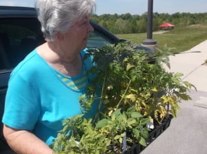 Sr. Citizen member checking the plants that will go in the beds