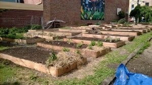 New boxes being filled with seeds and plants!