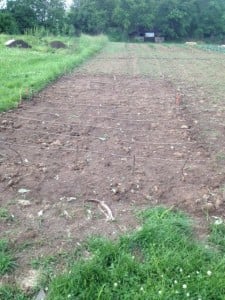 individual plots
