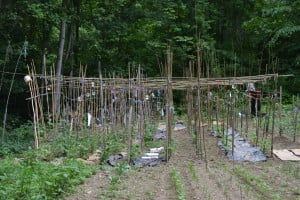 RBM GA members elderly apartments comm garden