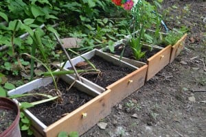 RBM GA member flower pot