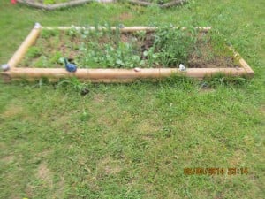 Bott's Elementary Kindergarten Garden photo 1