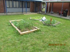 Bott's Elementary Kindergarten Garden photo 6