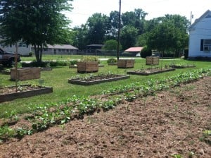 Barbourville Community Garden in Knox County, KY