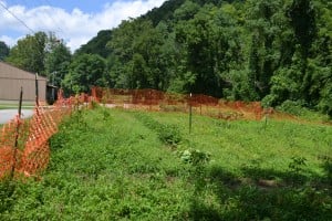 RBM GA Garden after raining