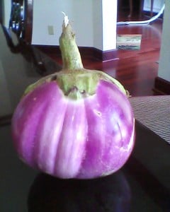 Rosa Bianca Eggplant