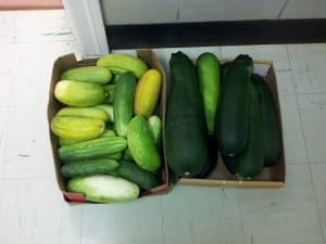 RBM GA box of cucumbers and a box of zucc's