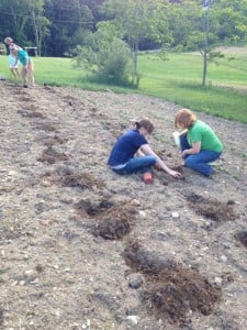 Volunteers planting in our garden