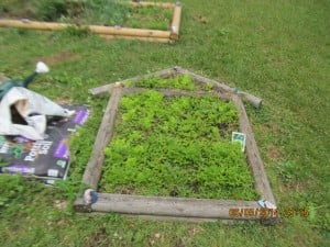 Bott's Elementary Pre-school Garden photo