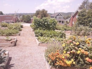 July Vance Garden 3