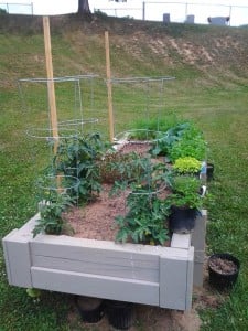 Raised bed