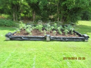 PWO Garden Photo