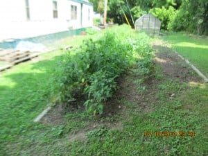 PWO Garden Photo 003