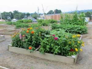 Vance Community Garden