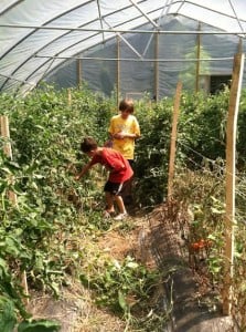 Kids on the Creek visiting Grow Appalachia participant, Shane Lucas in his high tunnel.