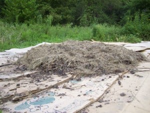 Close up of Hugelkultur bed.