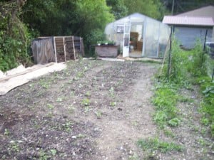Lotts Creek Community School Garden site.