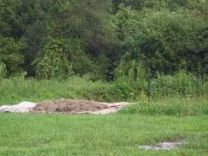 Hugelkultur Workshop Raised Bed