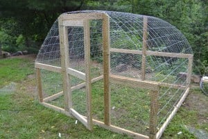 chicken tractor