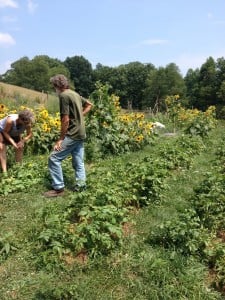 Visiting an experienced Organic Gardener and Participant!