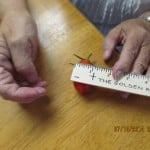 Other tomatoes raised by William and Gail Mills