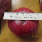 William and Gail Mills tomatoes