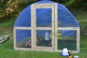 RBM GA Chicken Tractor